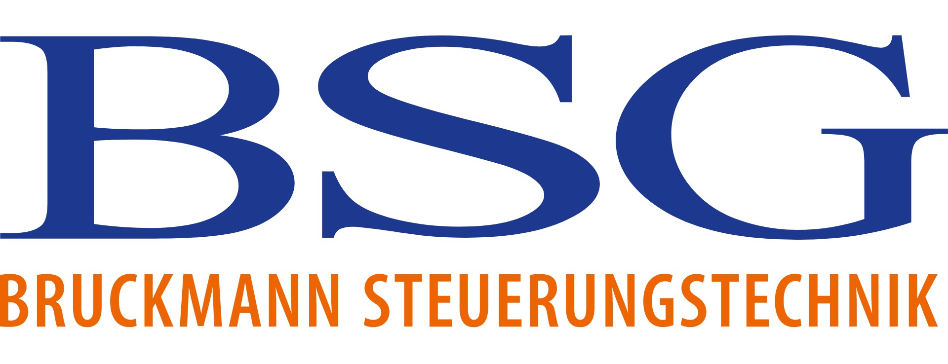bsg logo